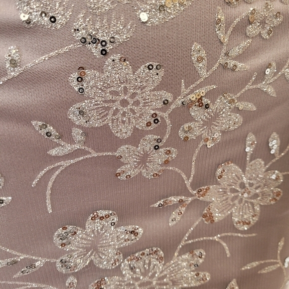 Dear Moon Silver Glitter Mesh Gown Size 0 - Picture 11 of 16